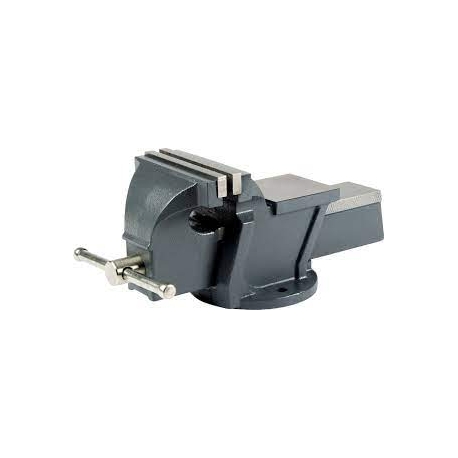 6'' fixed base bench vise (