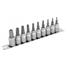 10 piece 5 Lobe socket set (W80564)