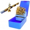 Metal 29pc Titanium Coated Drill Bit Set  (10176)