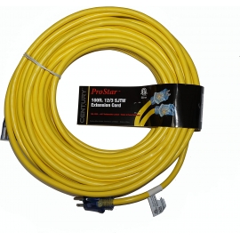 Electric extension cord 100 foot 12/3 Century (D11712100)