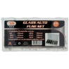 60pc AGC Glass Fuse Asst w5375