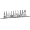 10PCS 3/8"DR STAR BIT SCKT SET Item No. GNSBS310T