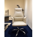 Chaise éxécutive pour bureau, 2 couleurs! HC4030