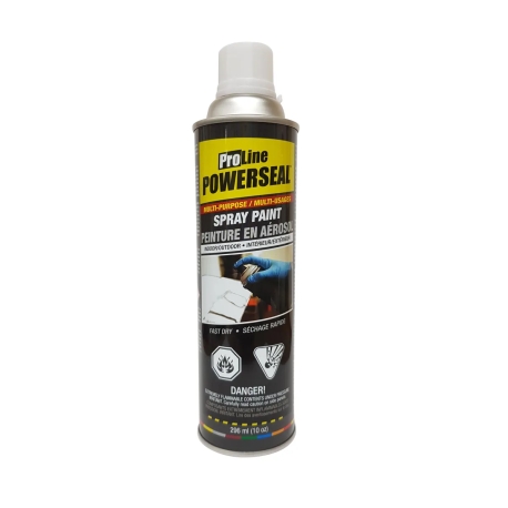 Peinture en Aérosol Noir lustré 296ML  122256