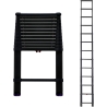 Pro grade 5M telescopic all aluminium ladder (LB1616)