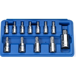 5 point Torx / Lobe socket set 12pc  BTL5