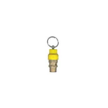 Safety Valve 1/4 NPT (14293S)