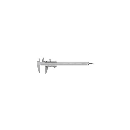 VERNIER CALIPER 12 INCH (28108)