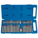 SET OF 40 TORX BITS (BT1017)