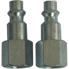  776253- 2pc 1/4" F NPT x 1/4" connecteurs Male