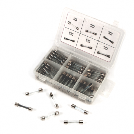 60pc AGC Glass Fuse Asst w5375