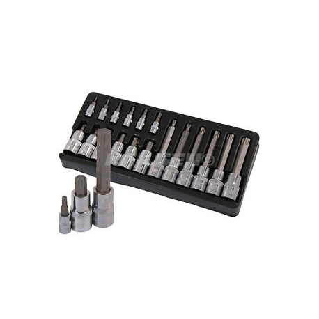 19 piece torx drive socket set (BT07012)