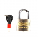 High security 50mm brass padlock (101035)