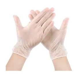 Powder free Vinyl gloves 100pc L (DV4100CF-L)